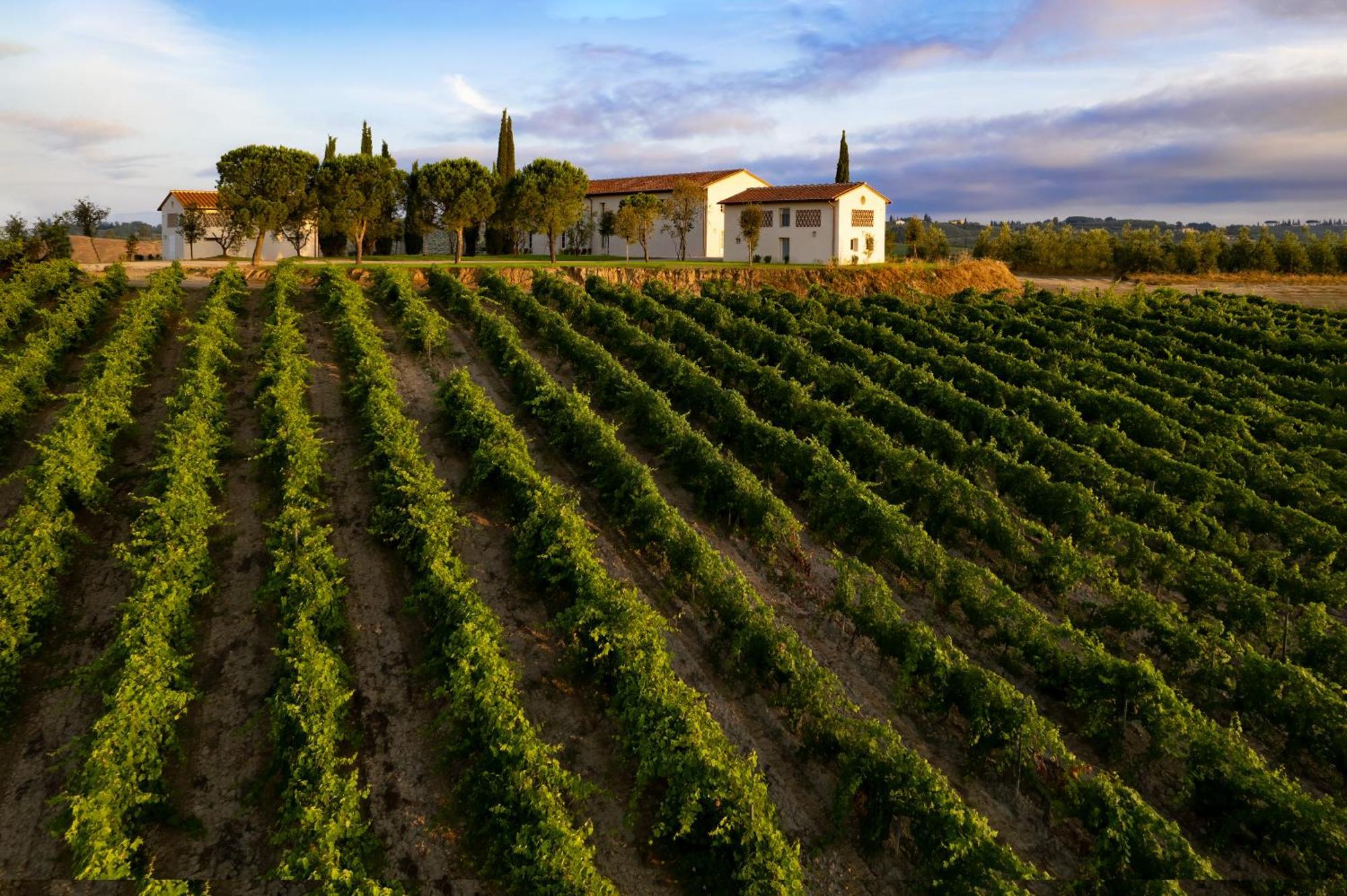 Colle Alberti Country House 체레토구이디 외부 사진